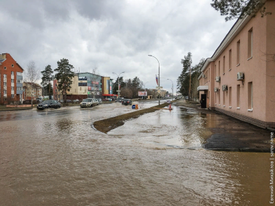 загруженное (3).png